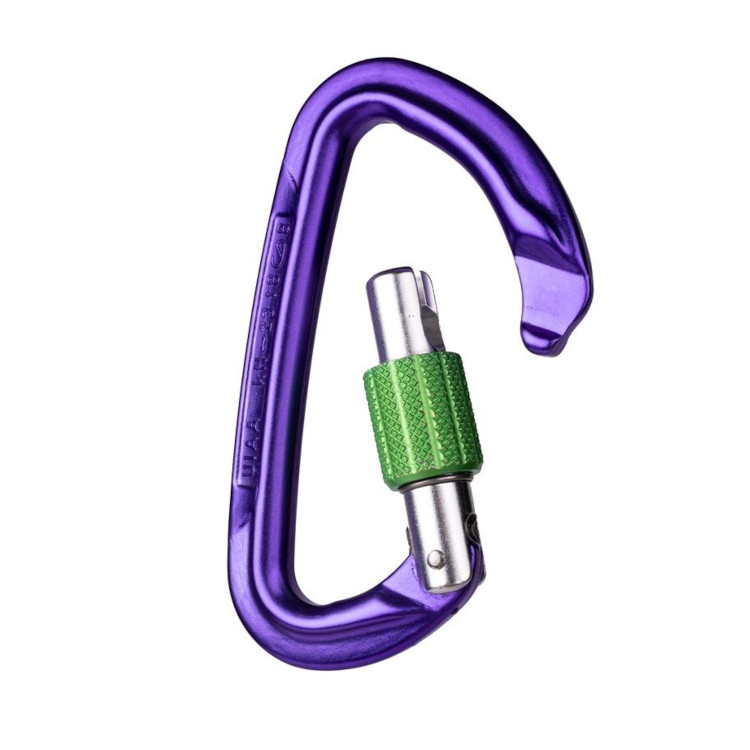 Wild Country Session Screw Gate Carabiner - Image 2